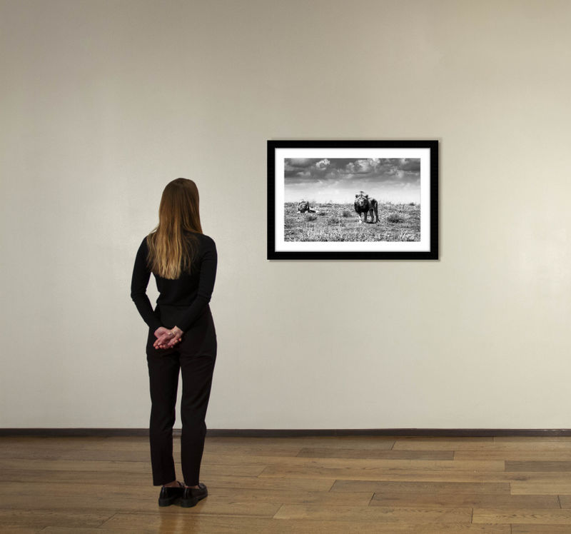 24 x 36 in., edition of 15